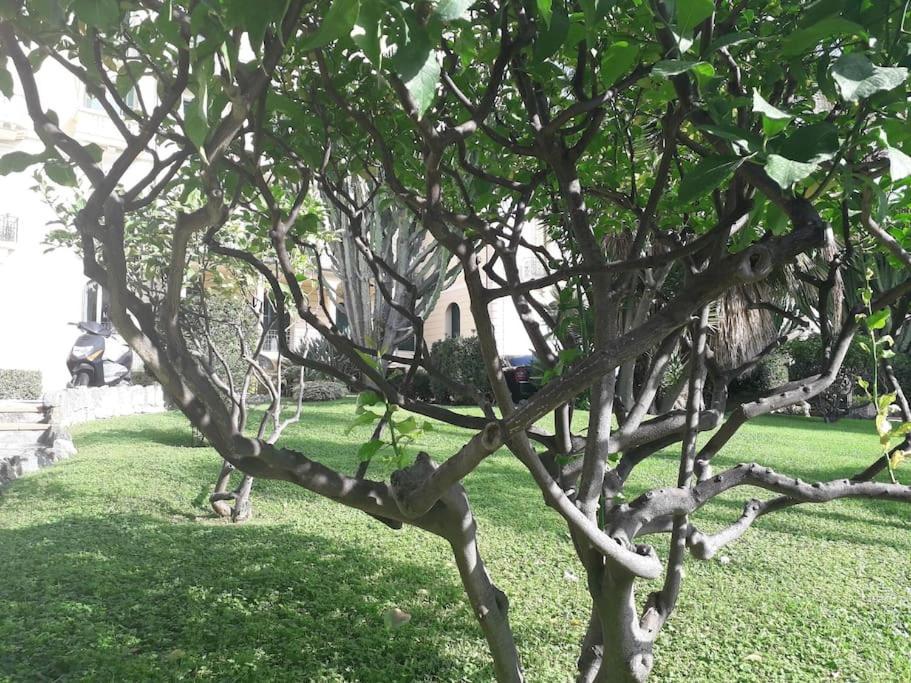 Apartament La Casa Di Anna, In Palazzina Liberty Fronte Parco Bordighera Zewnętrze zdjęcie