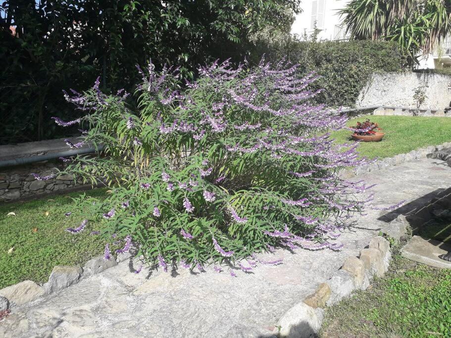 Apartament La Casa Di Anna, In Palazzina Liberty Fronte Parco Bordighera Zewnętrze zdjęcie